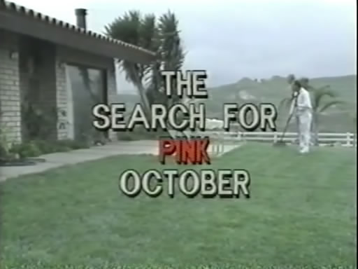 Search For Pink October / В Поисках Розового Октября