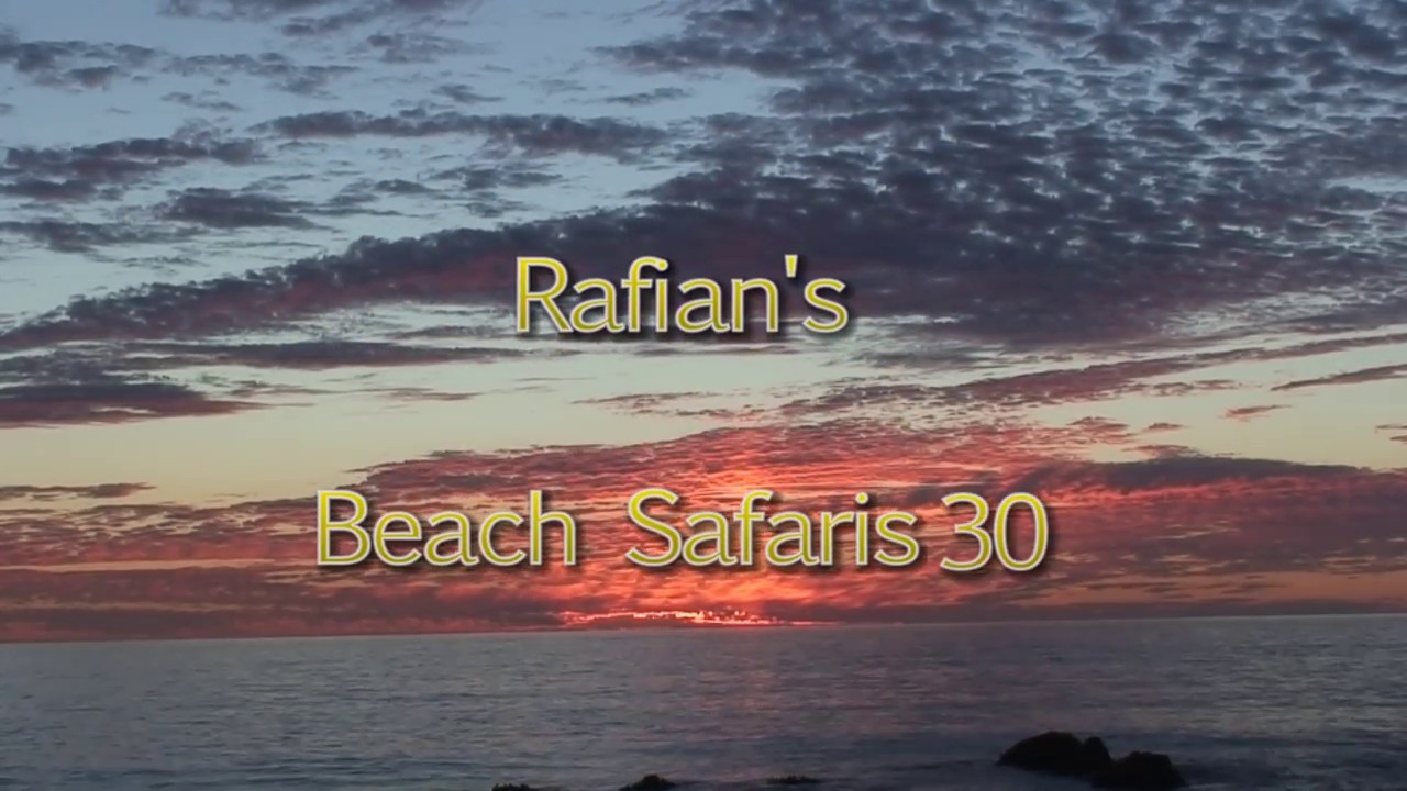 Rafian s Beach Safaris #30 HD