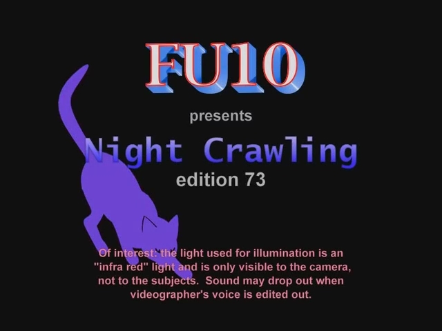 FU10 Night Crawling # 73